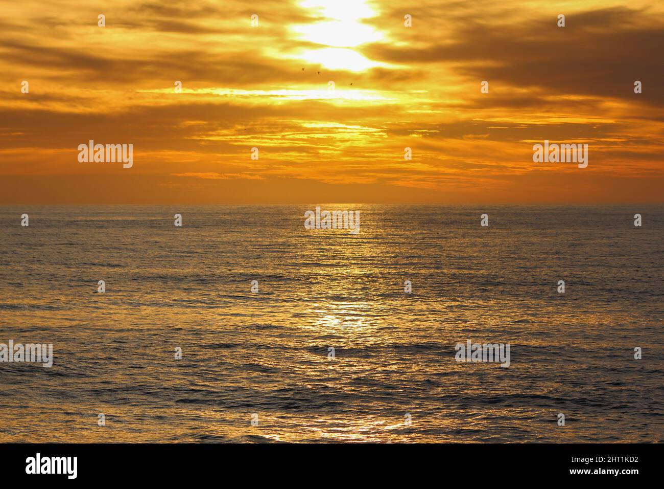 Beautiful Shot Of Windansea Beach La Jolla At Sunset Stock Photo Alamy