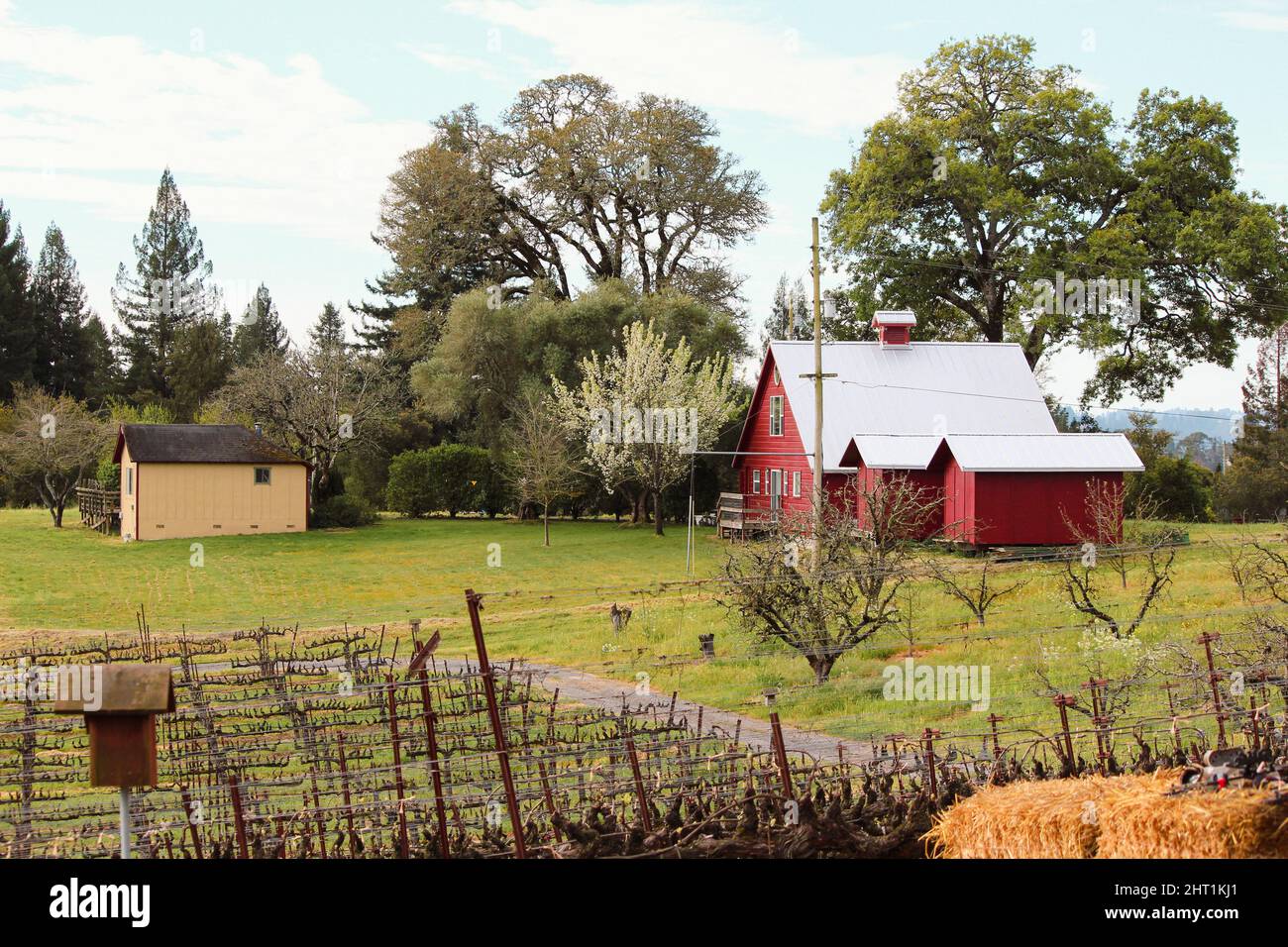 Sonoma county, CA. The old winery Stock Photo