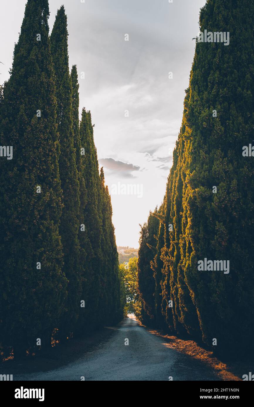 Vertical shot road hi-res stock photography and images - Alamy