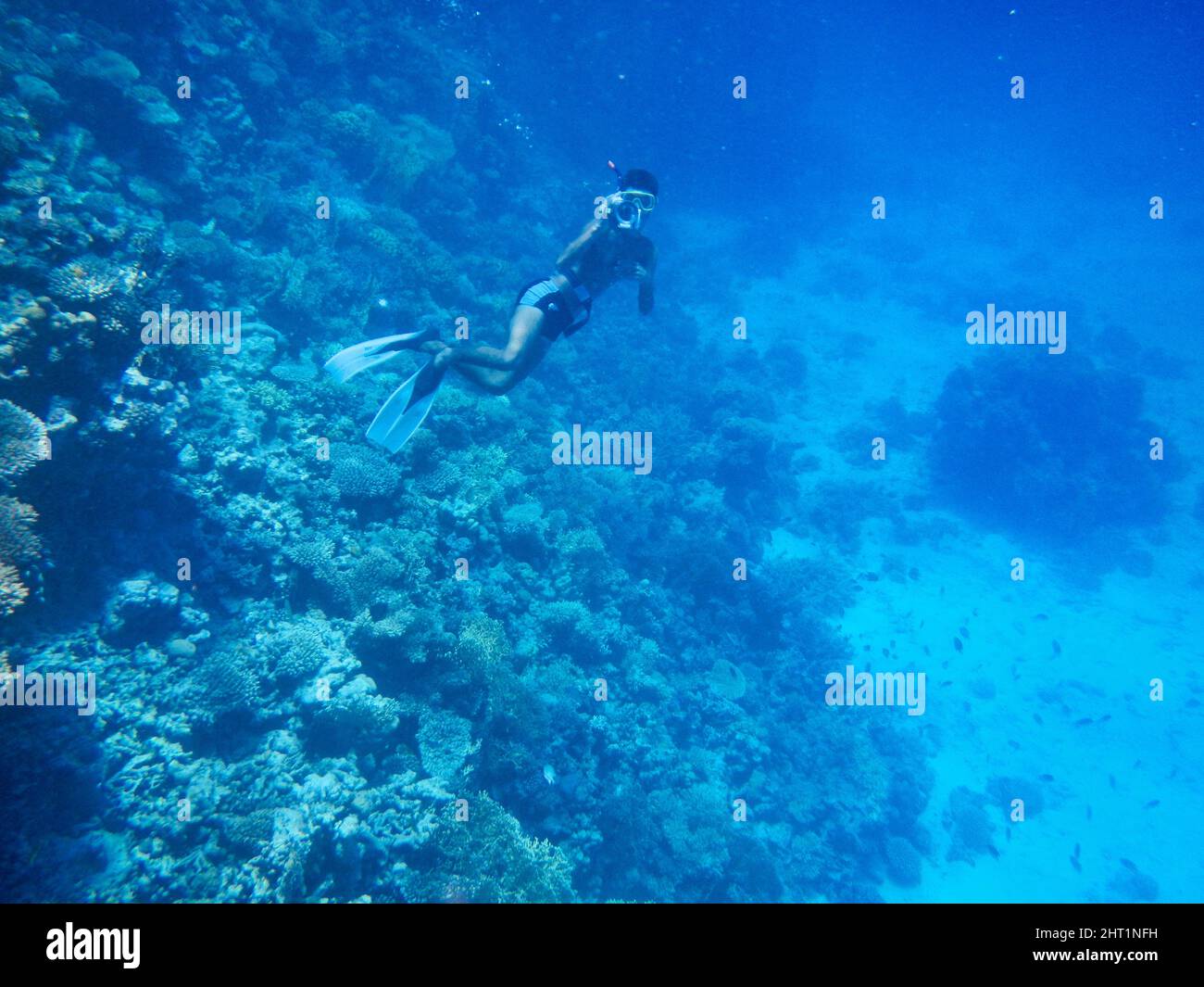 Person diving in the water Stock Photo - Alamy