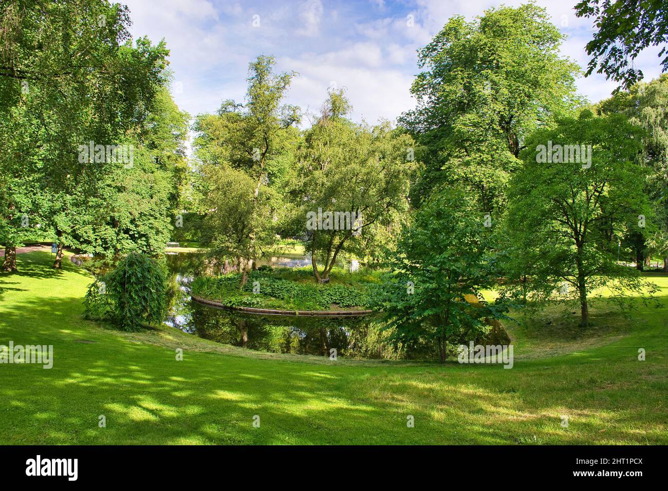 Mesmerizing shot of a a fresh green forest Stock Photo - Alamy