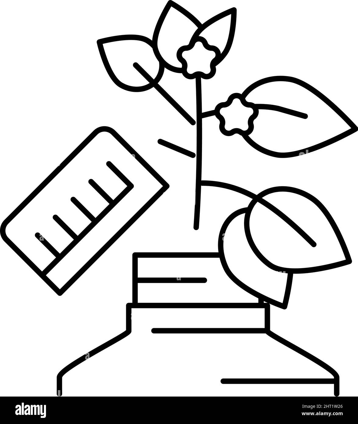 growing homeopathy plant line icon vector illustration Stock Vector ...