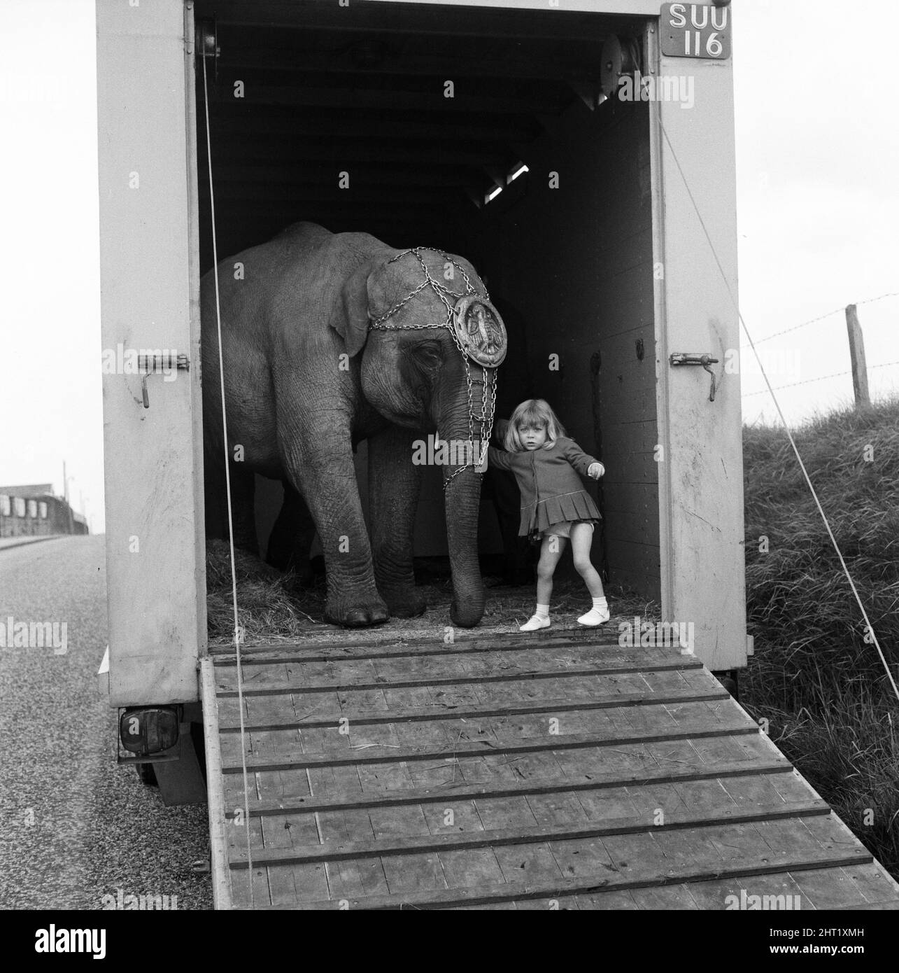 Three year old Juanita Jahn, daughter of Harry Jahn, elephant trainer with Billy Smarts Circus, took Gilda, one of her daddy's elephants along to the hospital at Blackburn, Lancs, were she was born three years ago. May 1965. Stock Photo
