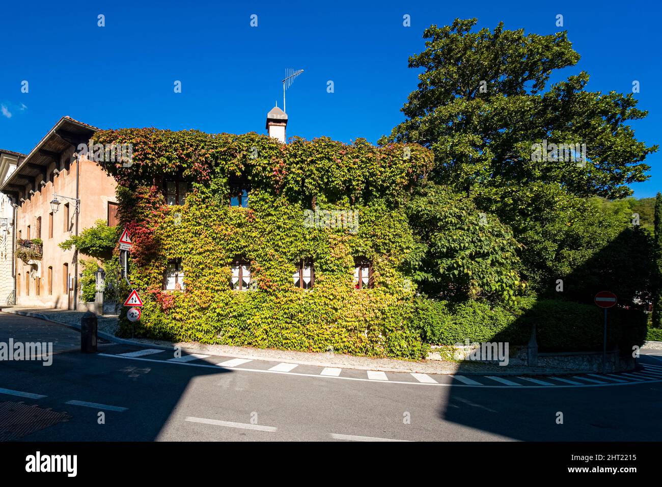 A medieval house of the village of Cison di Valmarino, overgrown with Virginia creeper (Parthenocissus quinquefolia). Stock Photo