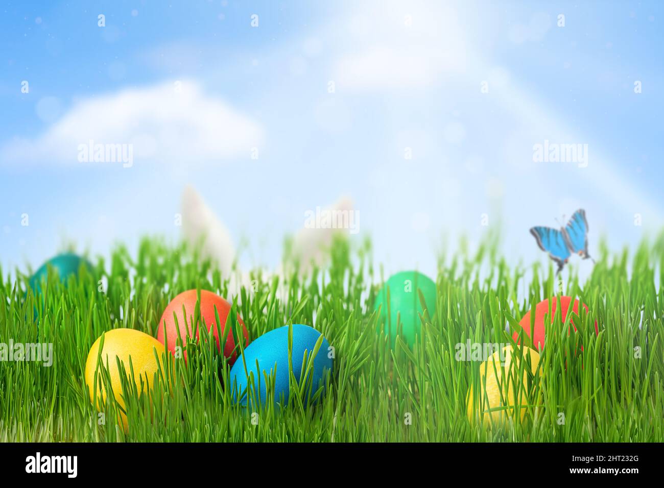 Colorful Easter eggs on green grass and blue sky background. Copy space Stock Photo