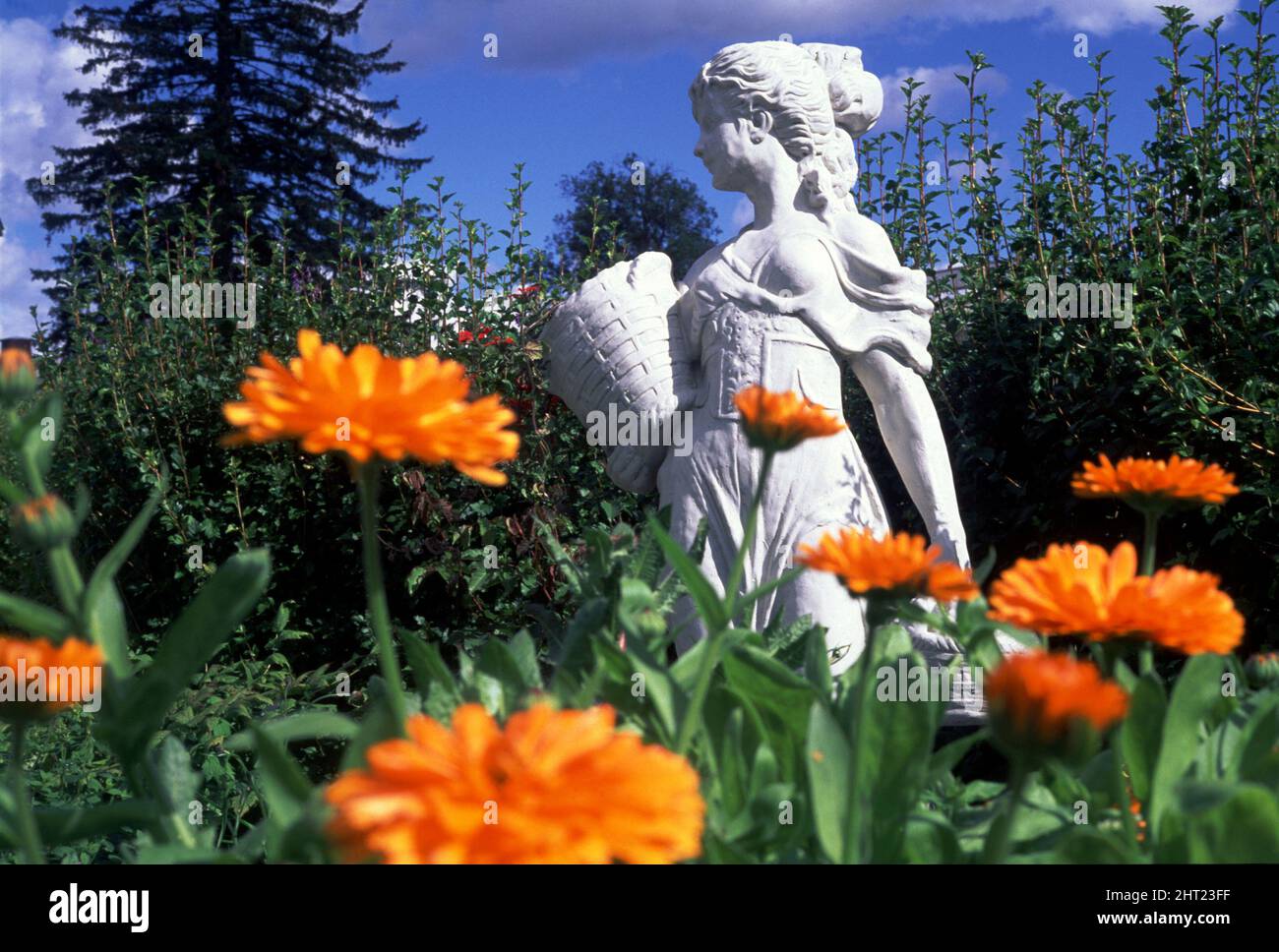 Female statue by marigolds Stock Photo Alamy