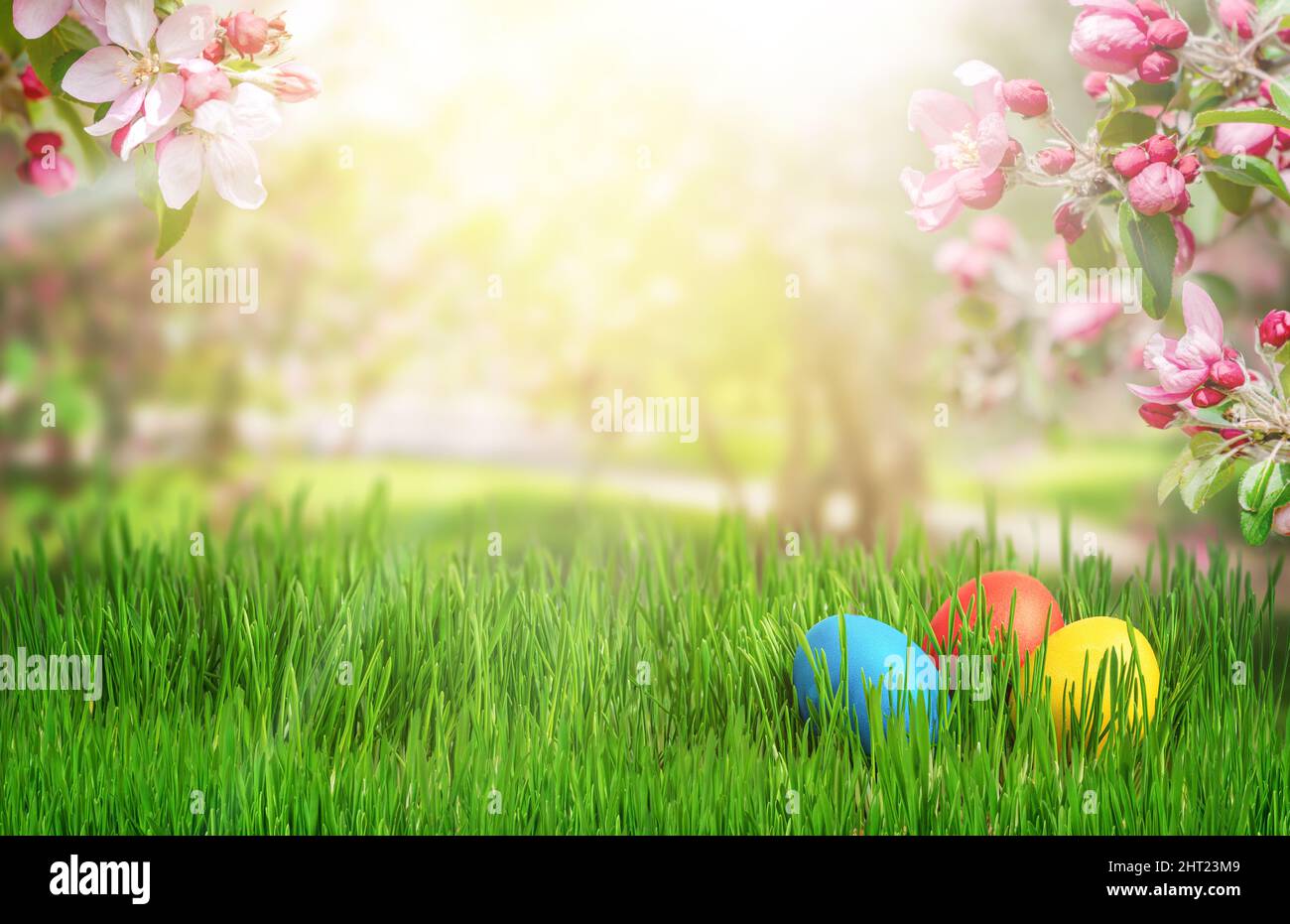 Colorful Easter eggs with blooming apple branches on green grass background. Copy space Stock Photo