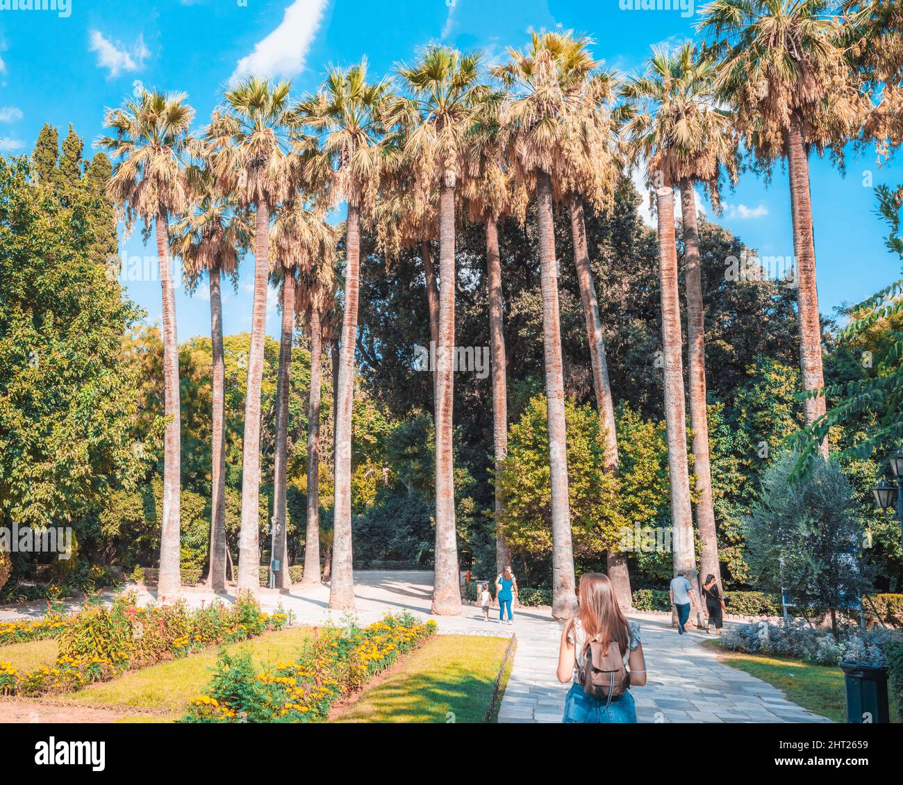 Row of palm trees along a curved pathway at the National Garden of
