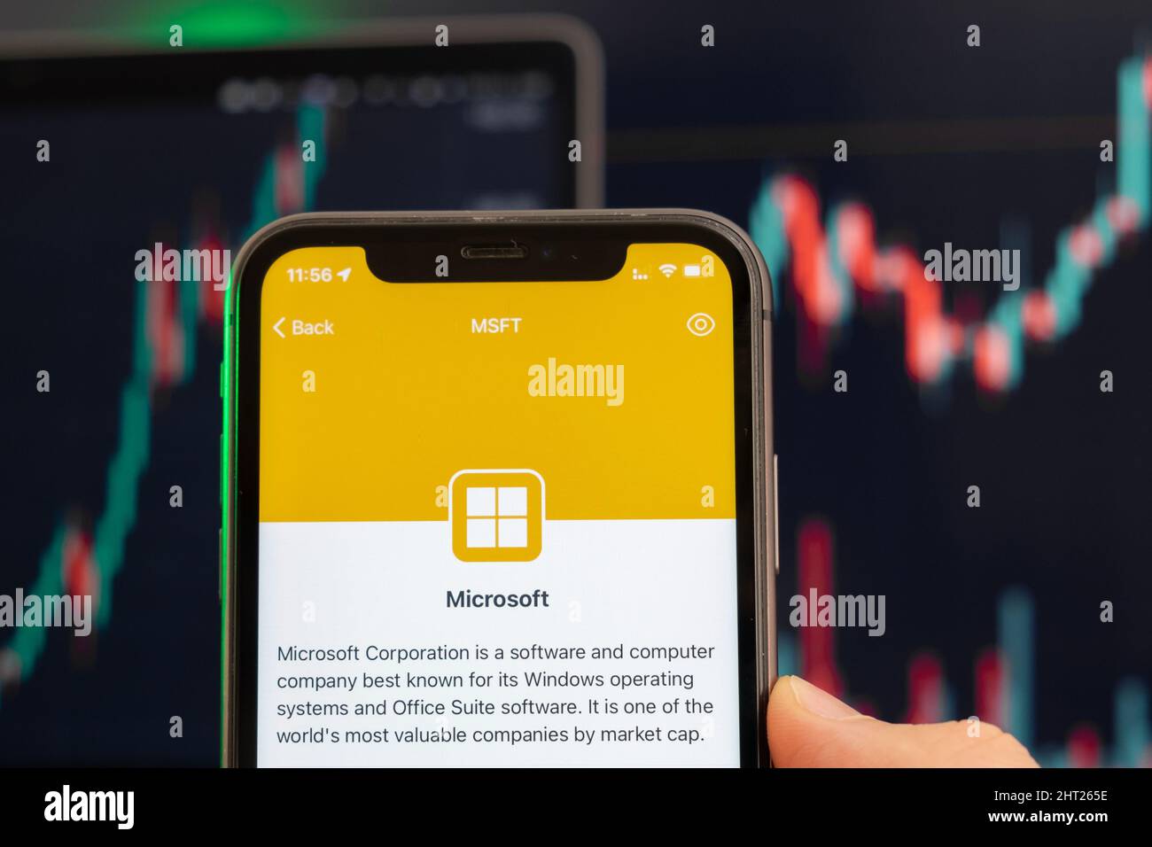 Microsoft stock price increasing on the trading market with uptrend