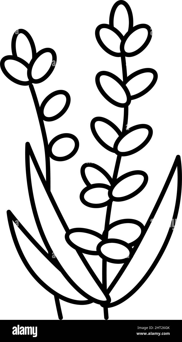 sea water clipart black and white flower