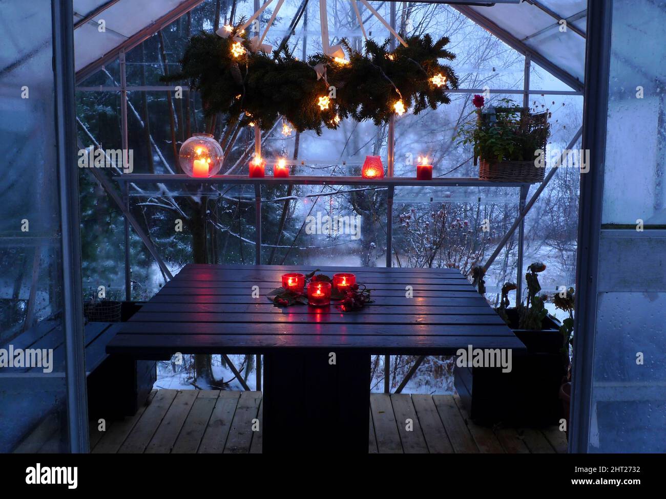 Fir wreath with string of lights in greenhouse Stock Photo Alamy