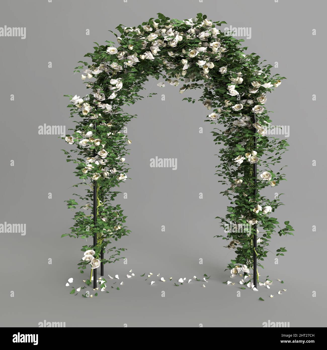 Straight Roses Arch White rose arch isolated on gray background, front view Stock Photo - Alamy
