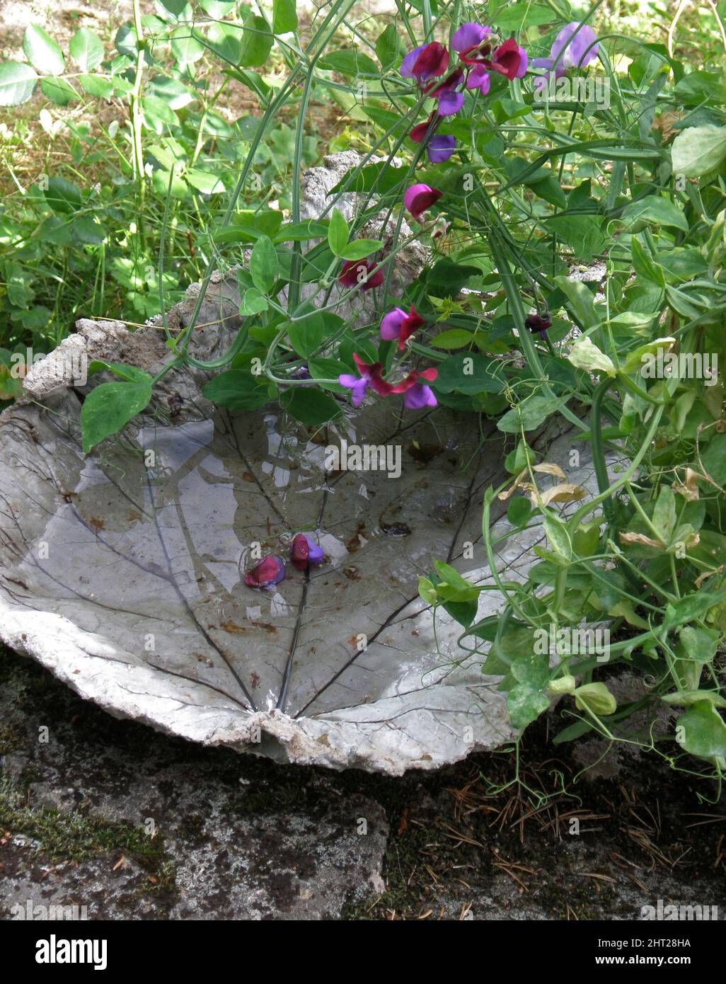 Concrete bird bath Stock Photo - Alamy