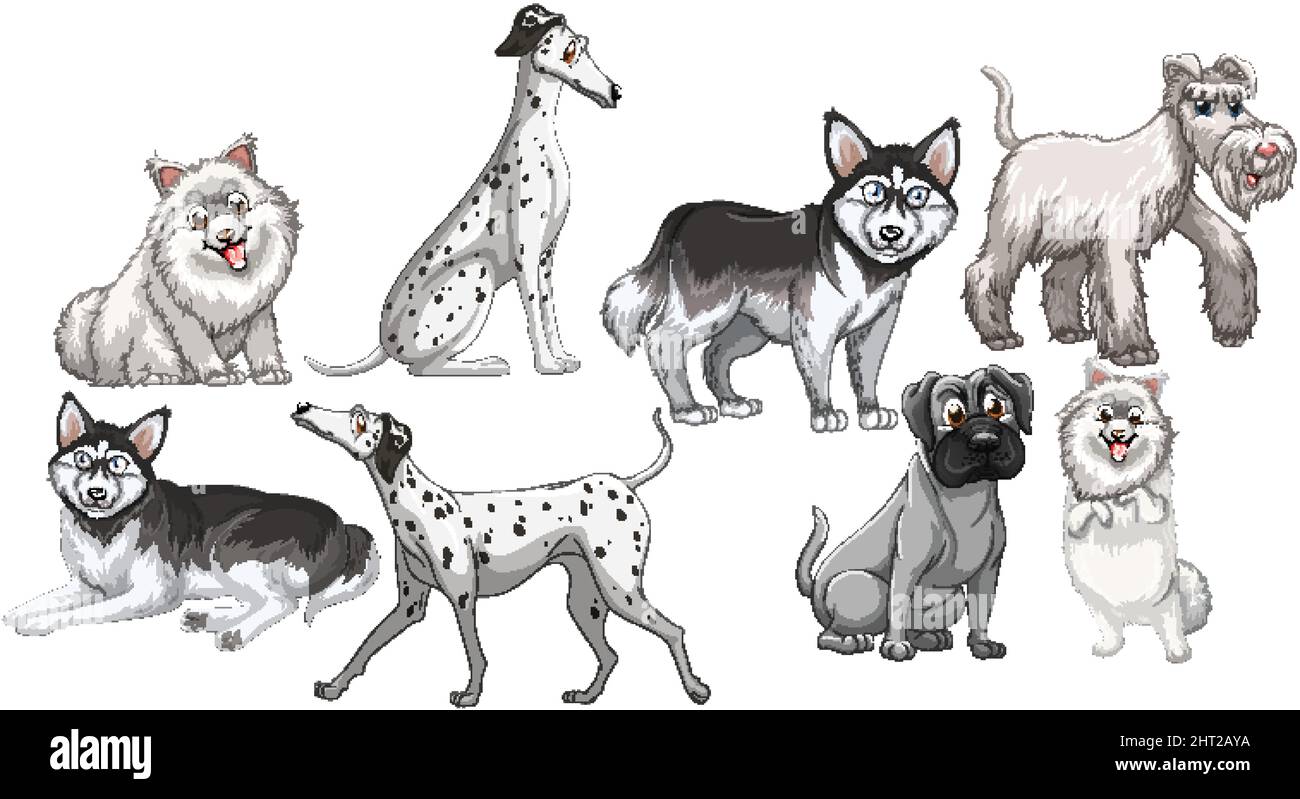 Set of white dogs in different breeds on white background illustration ...