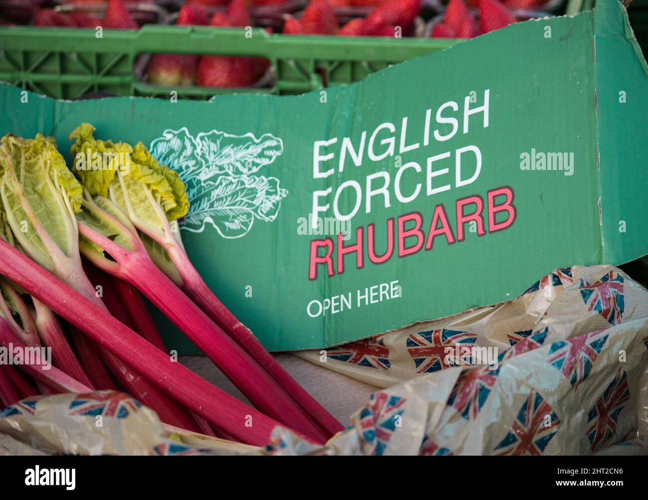 Fresh English rhubarb on sale at local fruit and veg market Stock Photo