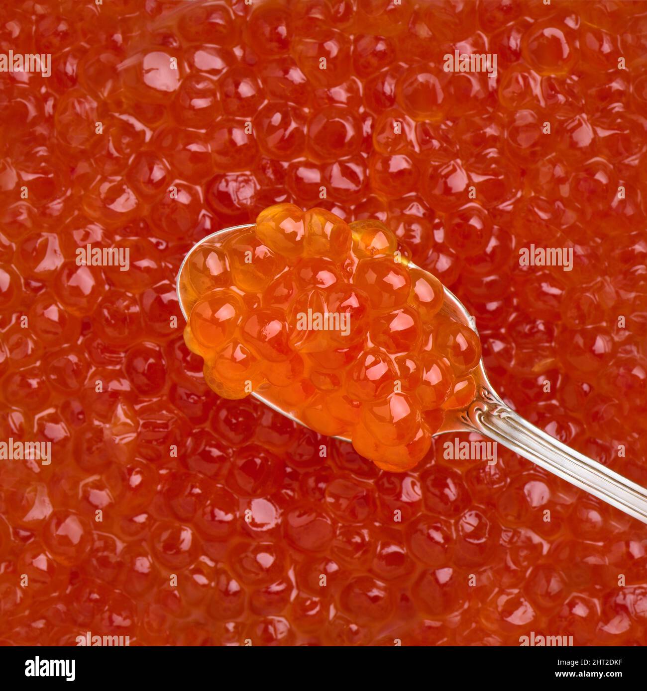 Red caviar eggs on a spoonful of backdrop red caviar close-up, delicacy seafood, top view Stock Photo