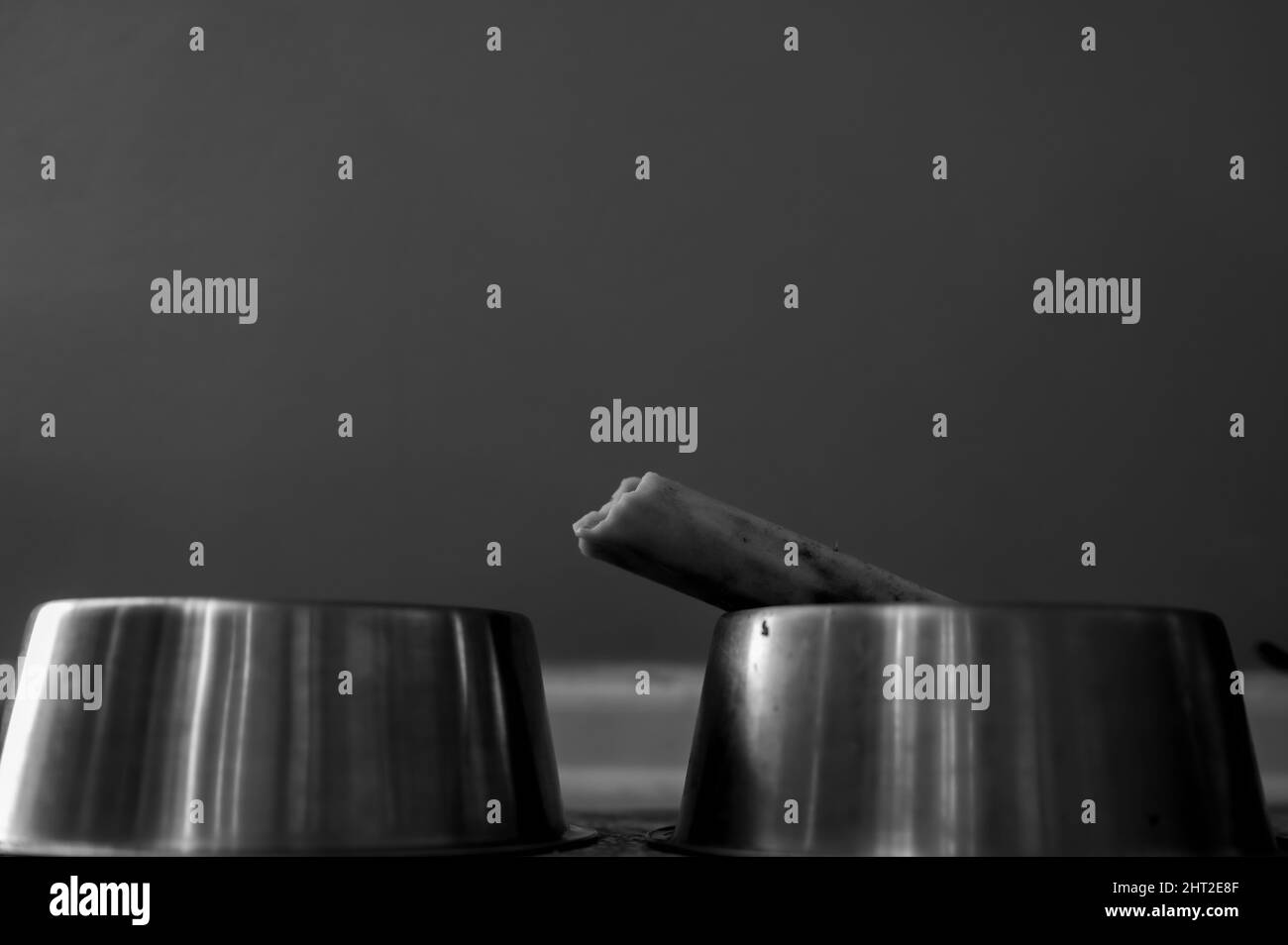 Why Would A Dog Chew On Metal