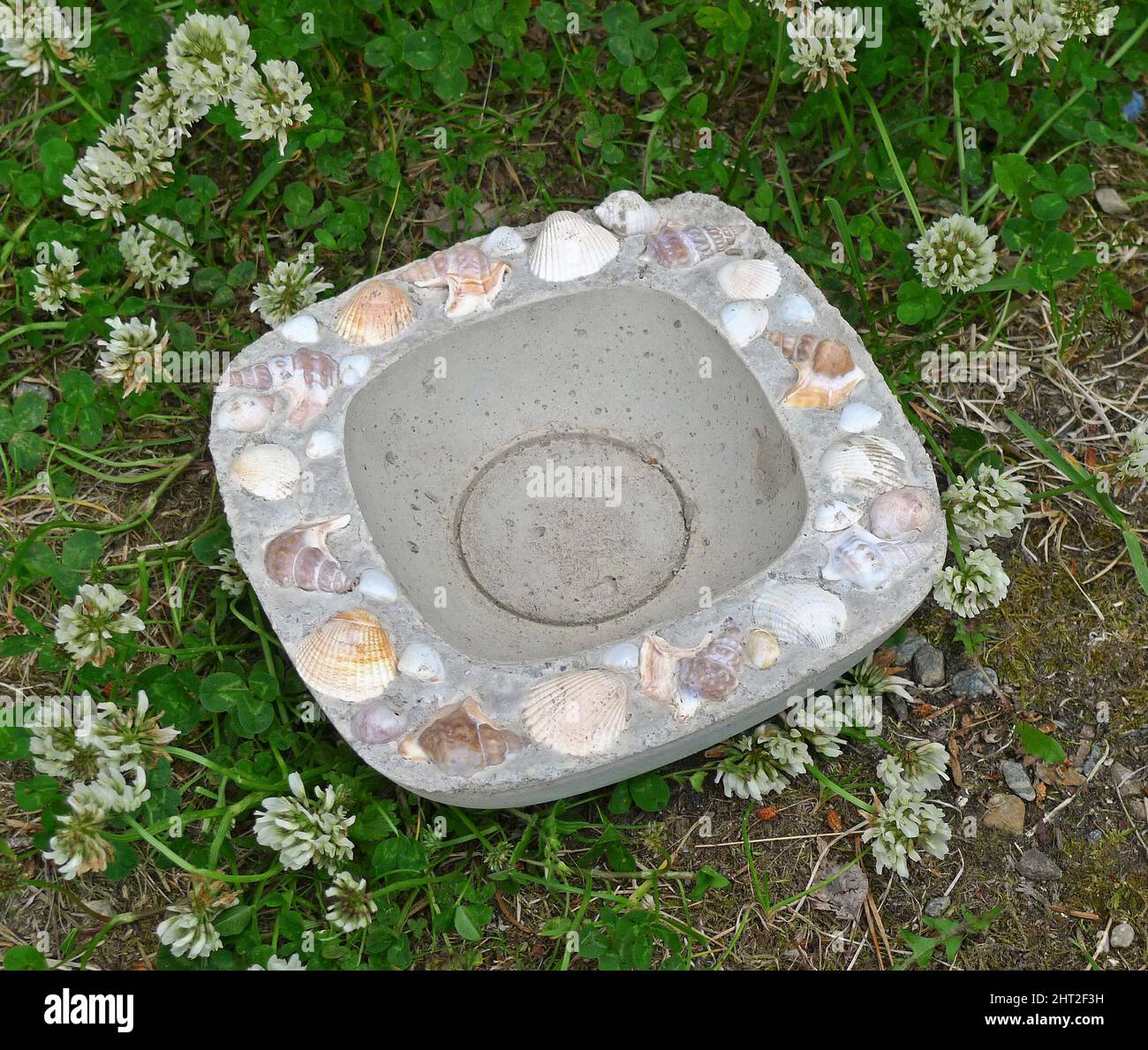 Concrete bowl with mussel shell and seashells Stock Photo