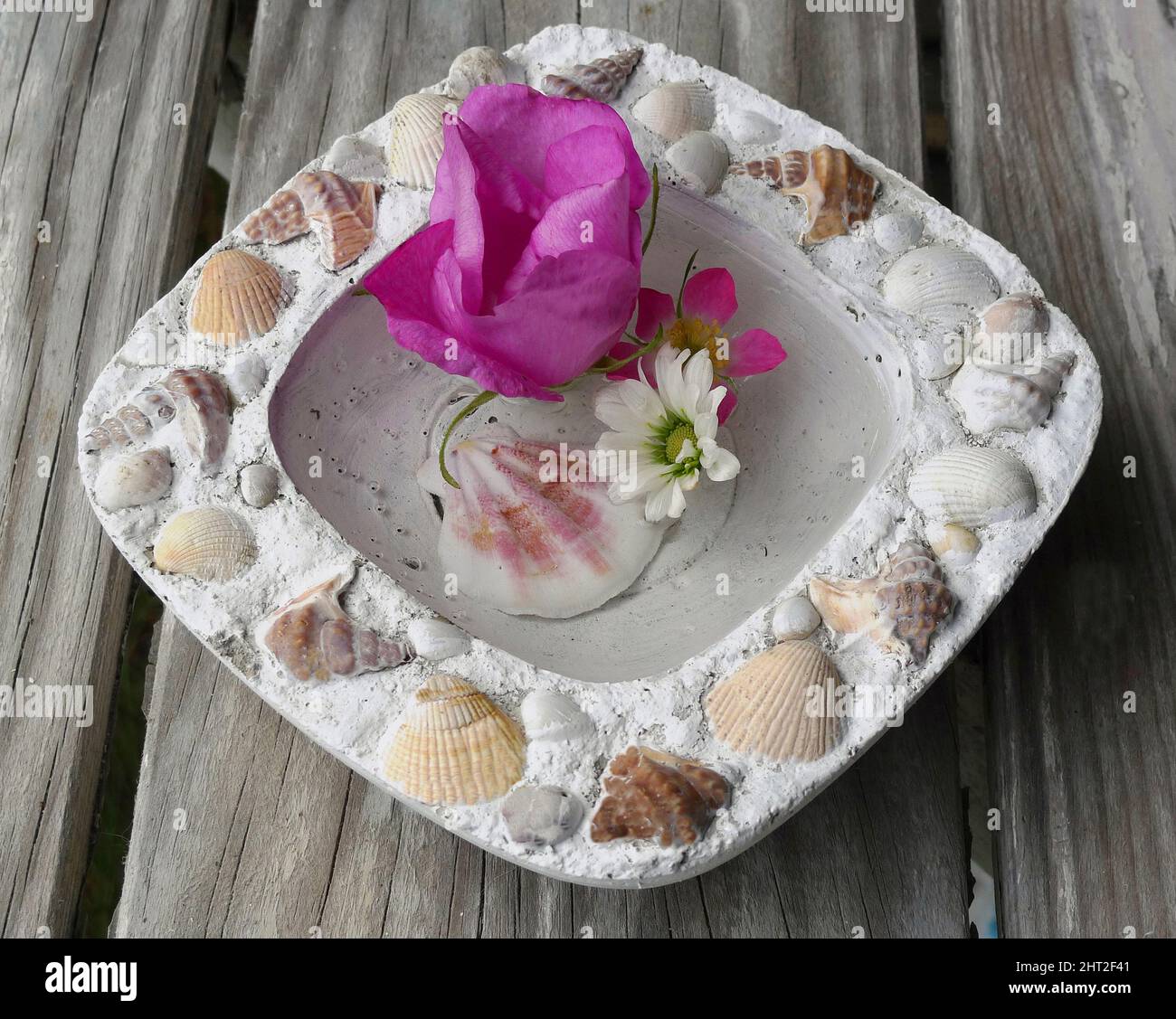 Concrete bowl with mussel shell and seashell Stock Photo