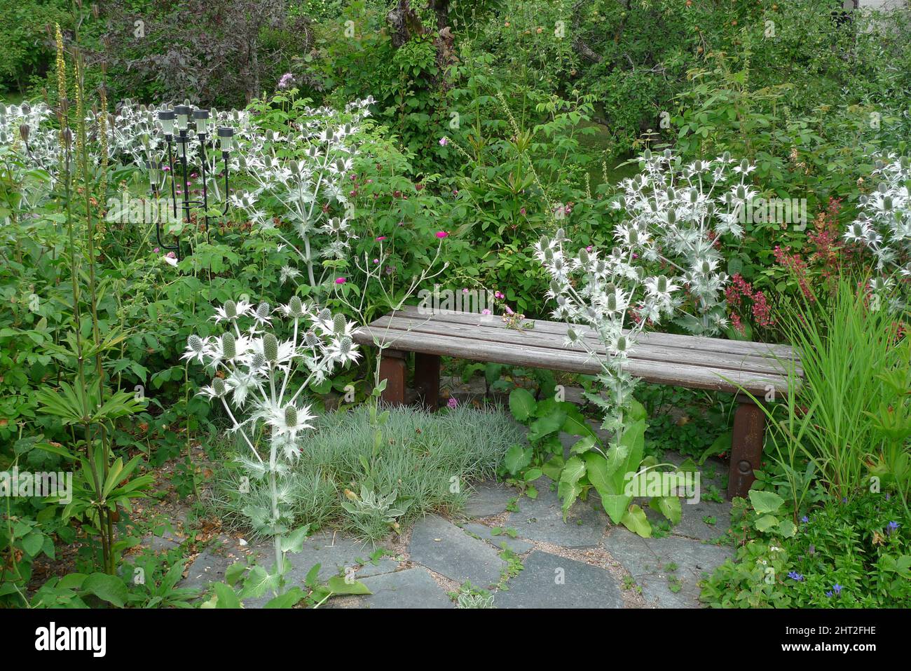 Wooden bench in the garden Stock Photo