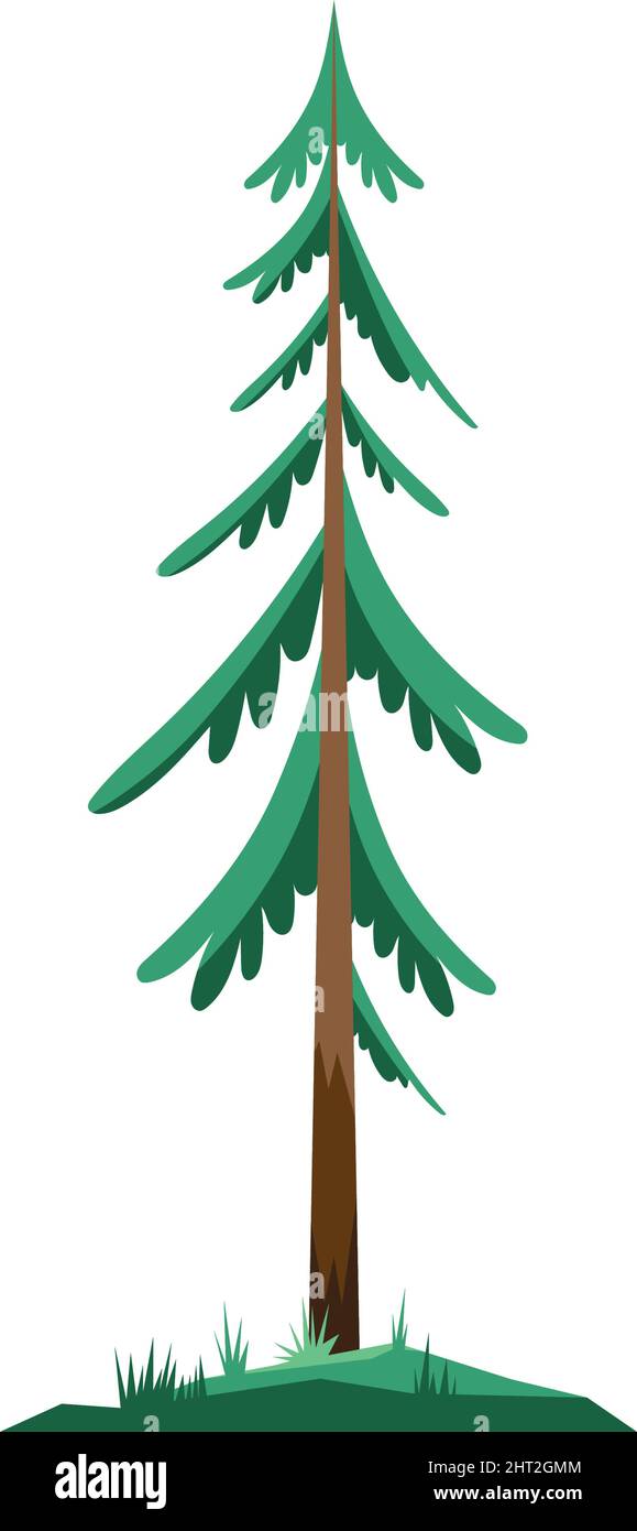 pine tree plant nature icon Stock Vector Image & Art - Alamy