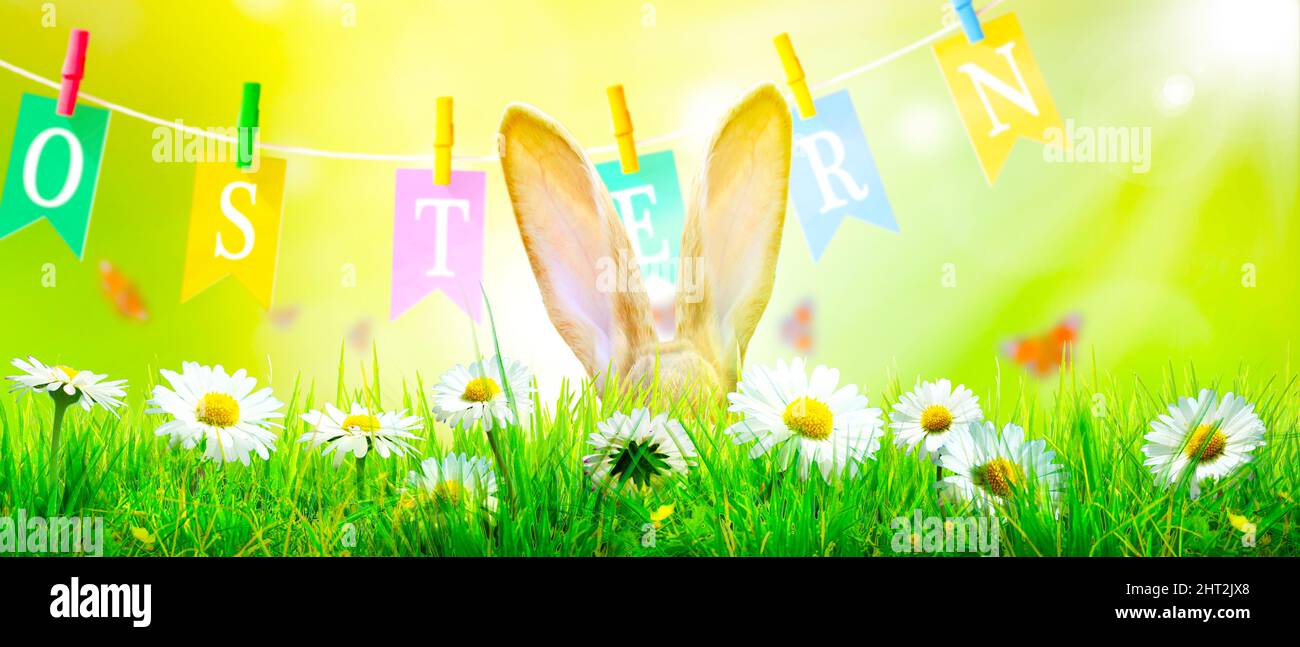 Easter composition with rabbit Festive decoration Happy Easter Stock