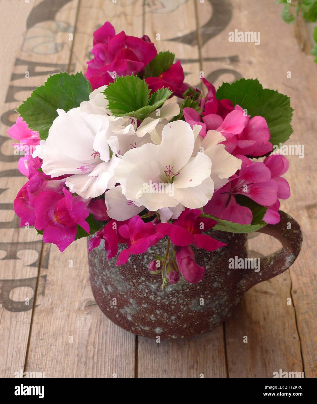 Bouquet with geraniums and leaf hut in clay pot Stock Photo