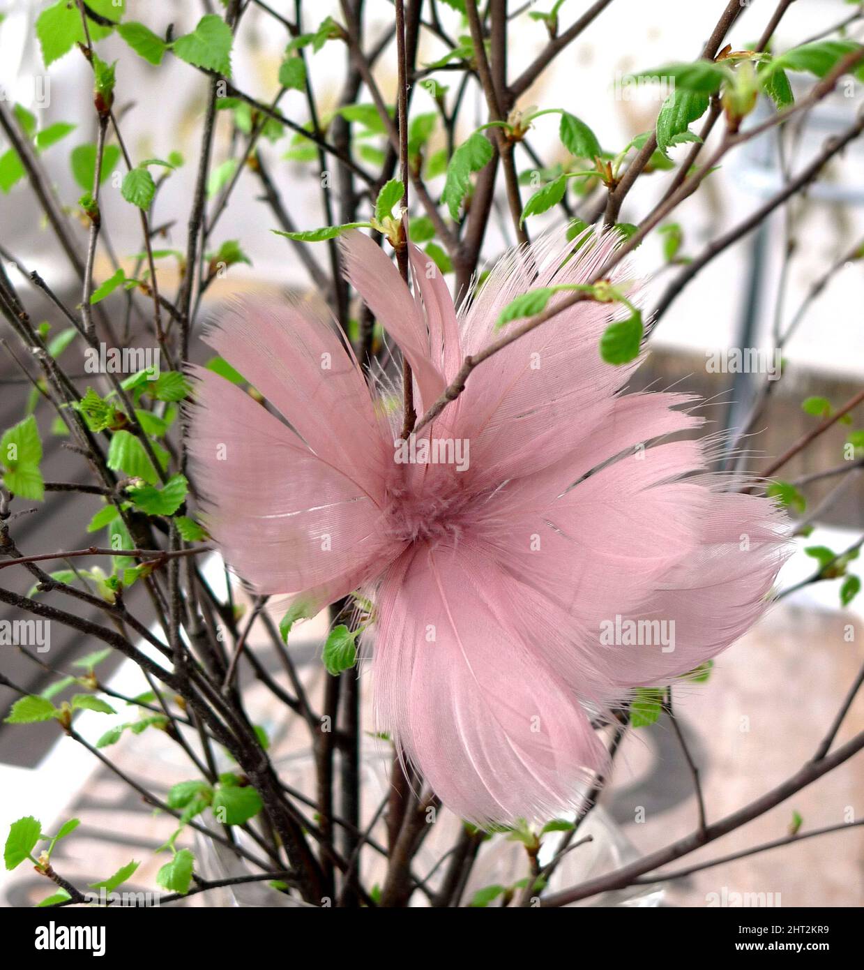 Easter Decoration on birch twigs Stock Photo