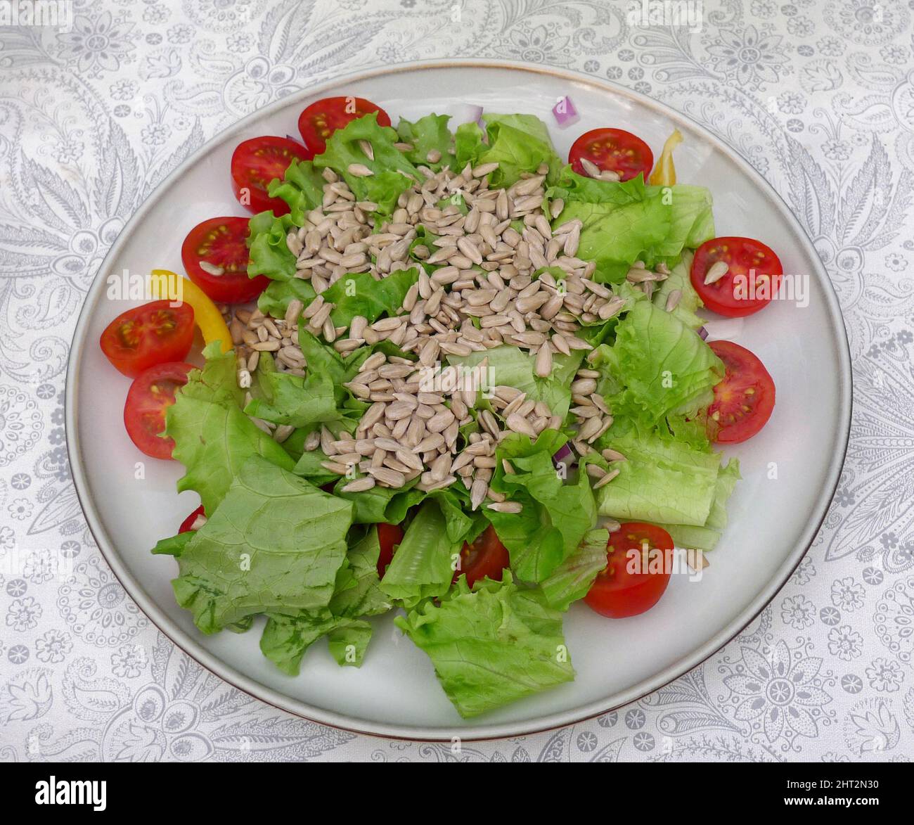 Green salad with sunflower seeds Stock Photo