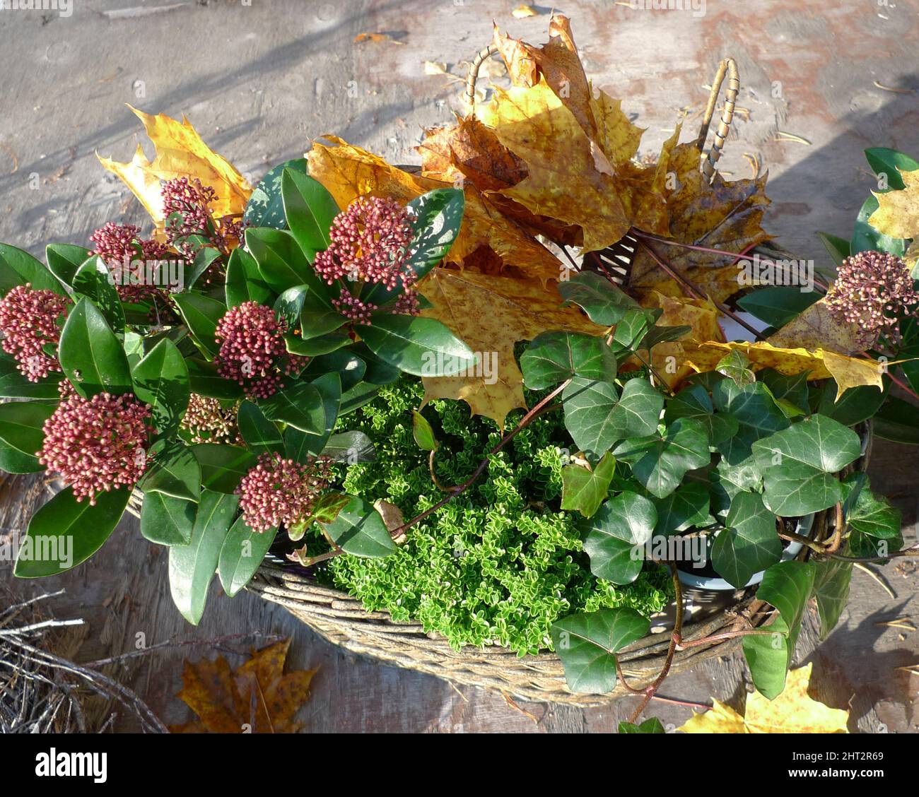 Autumn arrangement Stock Photo