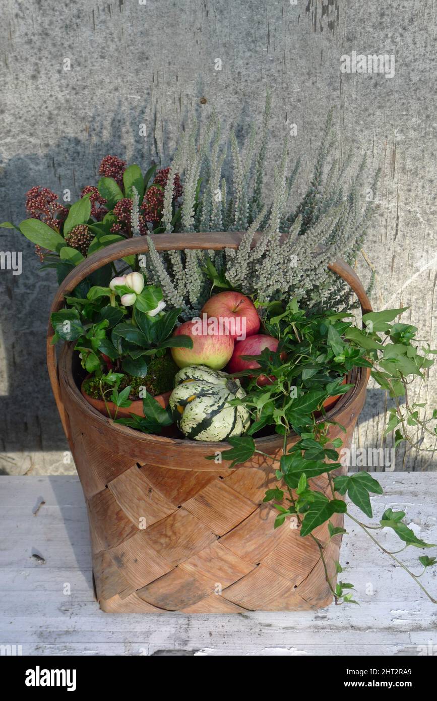Flower arrangement baskets hi-res stock photography and images - Alamy