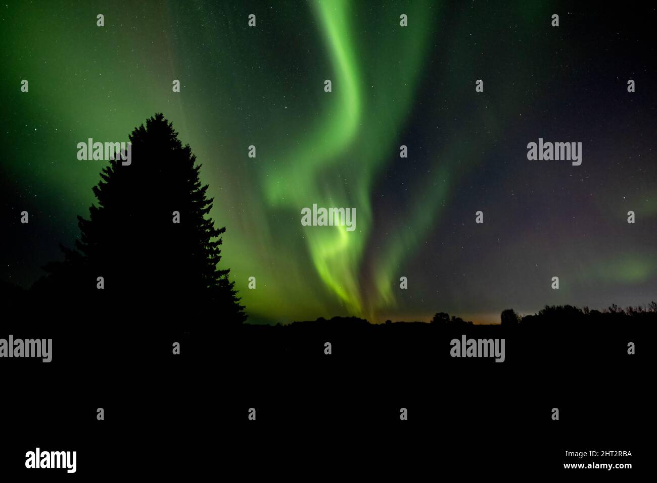Breathtaking Northern Lights on a starry sky above a field at night ...