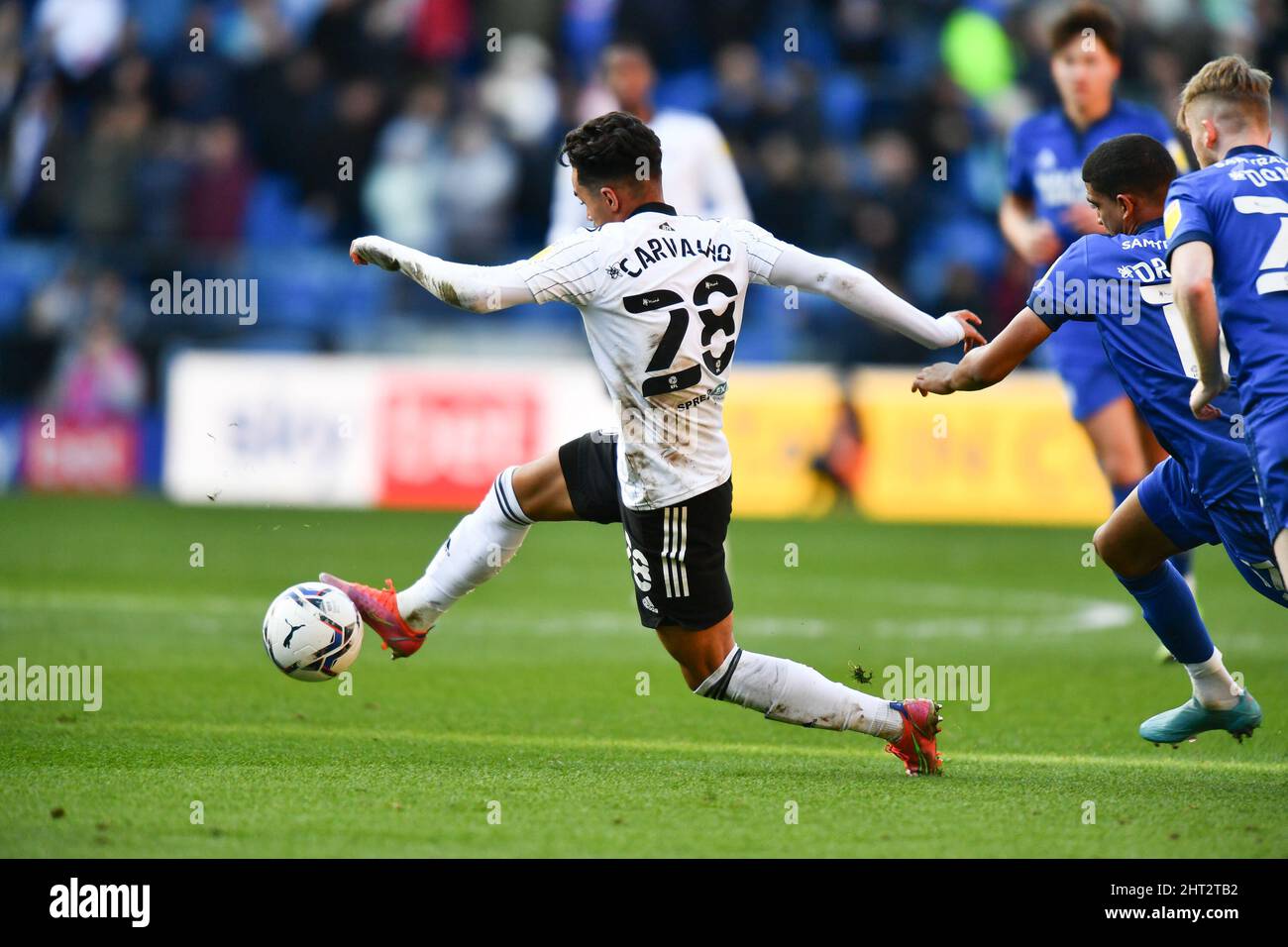 Cardiff City Football Forum  Cardiff City FC Messageboard • View topic -  Some Leicester photos courtesy of Annis and co