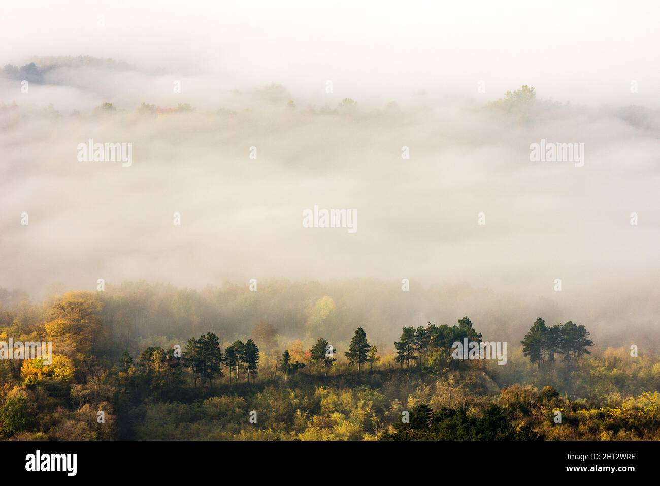 Aerial view of misty clouds floating over hills and valleys Stock Photo ...