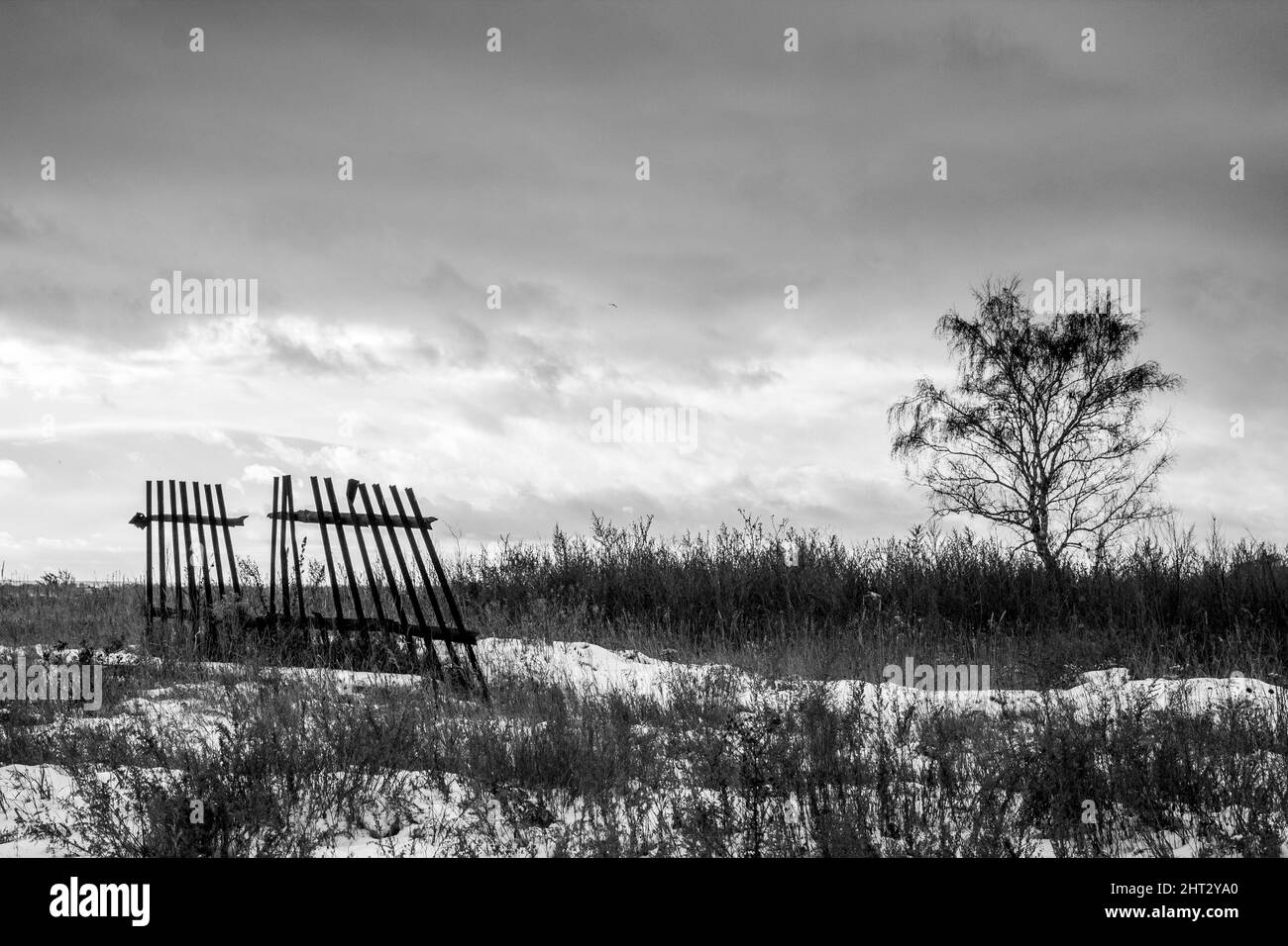 Dramatic black and white landscape in the form of a destroyed old fence and a lone tree. Stock Photo