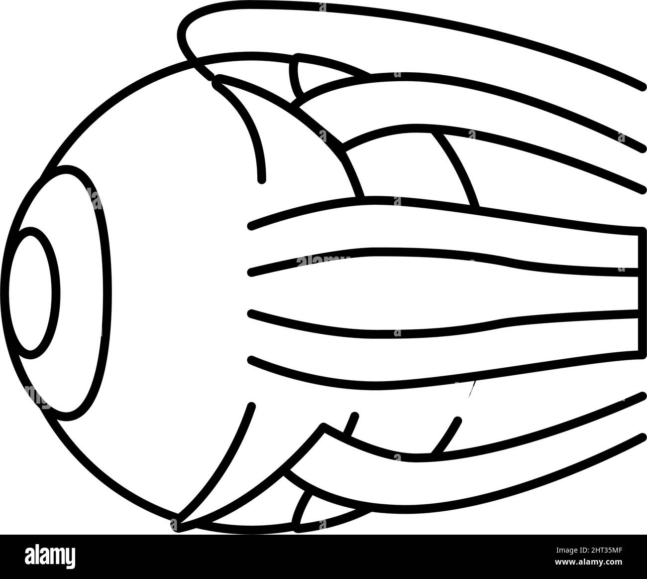 eye human organ line icon vector illustration Stock Vector Image & Art ...