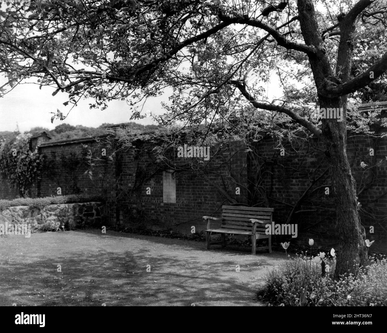 The wall built by Sir Winston Churchill which surrounded the kitchen