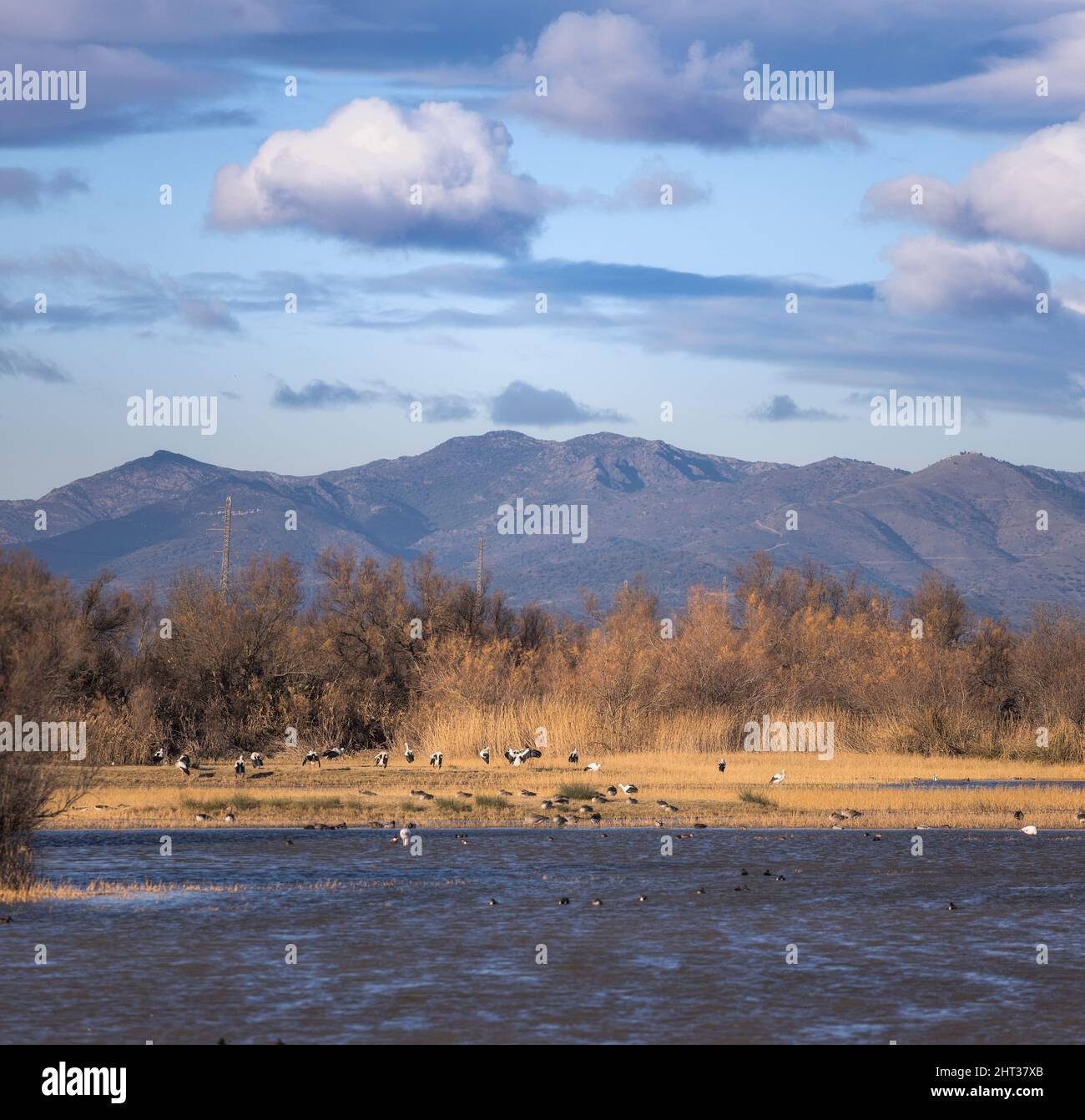 Beautiful Wetland Landscape at aiguamolls d'Emporda, Catalonia Stock Photo