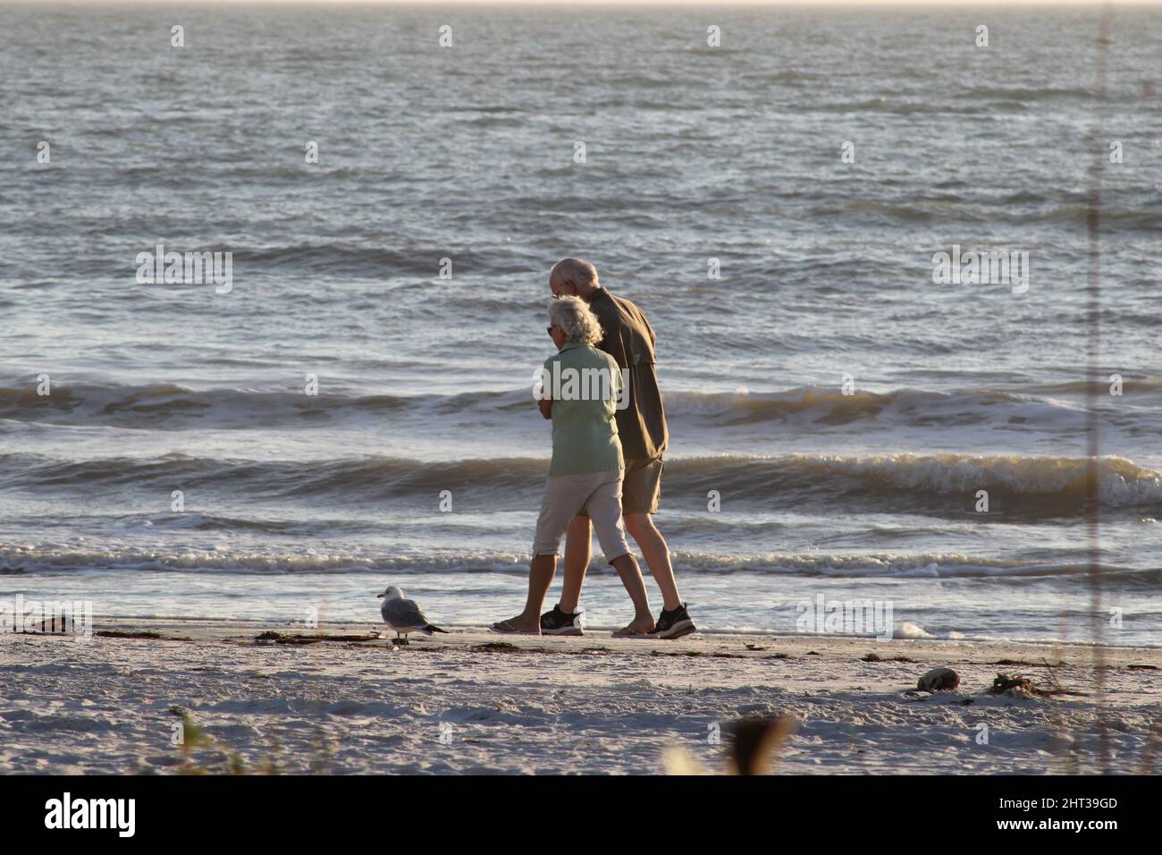 USA, Florida, Sanibel Island. Snowbirds finally reached their destination: car  window markers explain why these snowbirds have driven to Florida Stock  Photo - Alamy