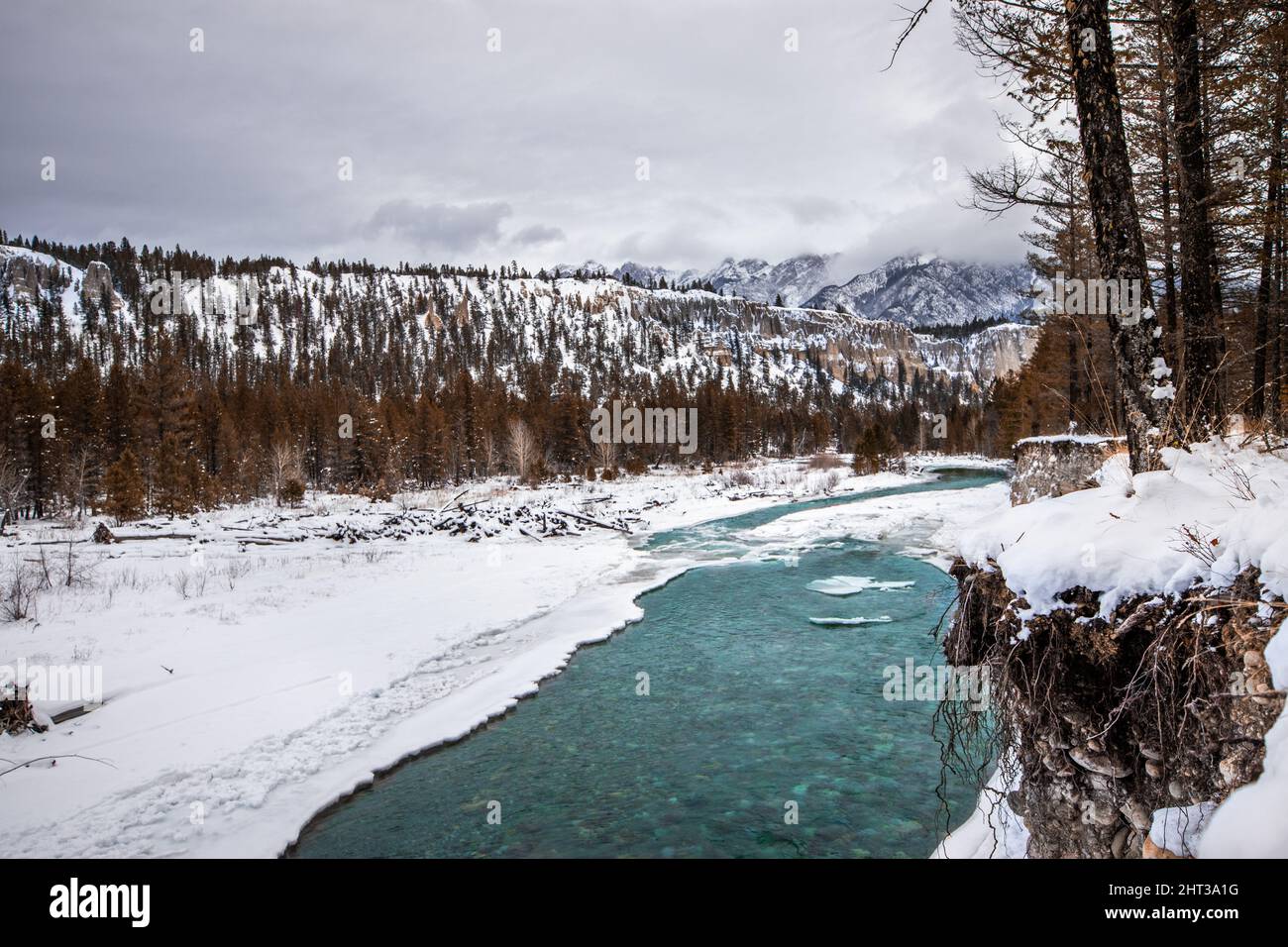 Fir tree snow nature serene hi-res stock photography and images - Alamy