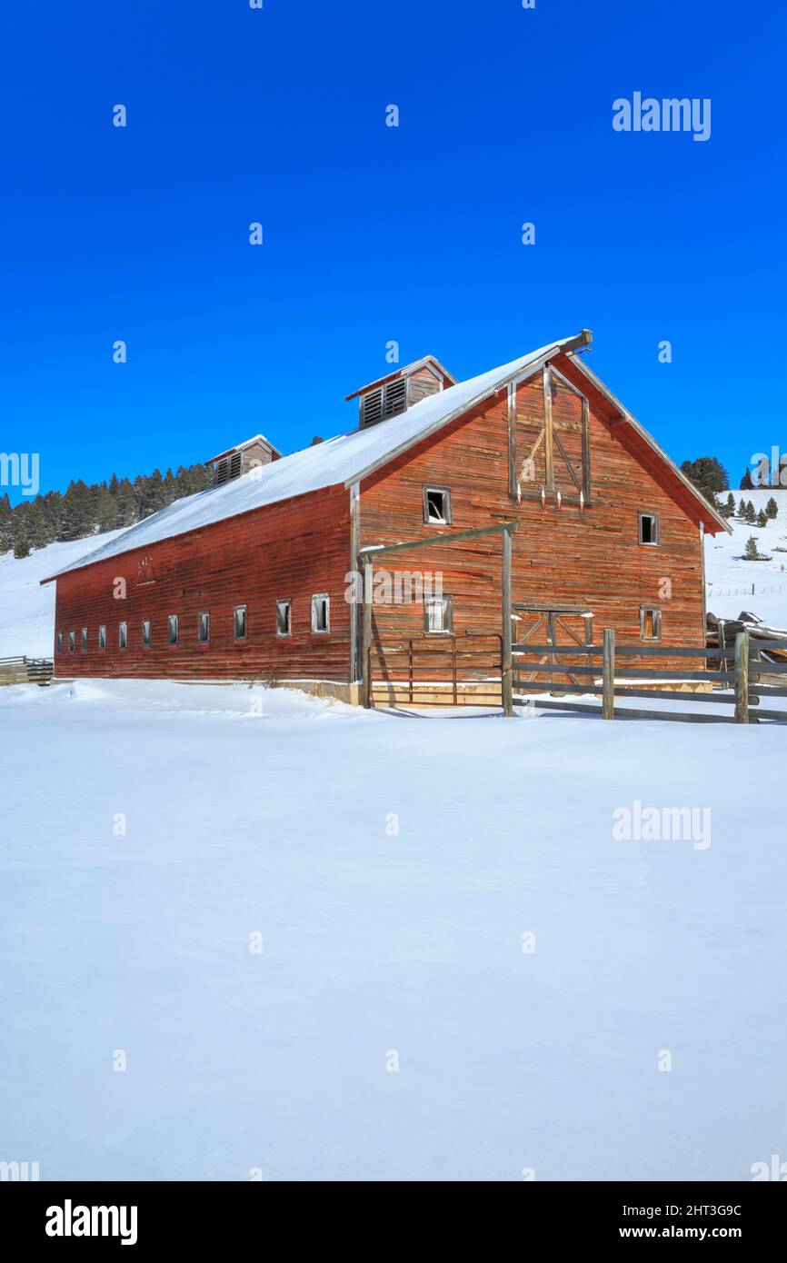 old red barn in winter in the dog creek valley near elliston, montana Stock Photo