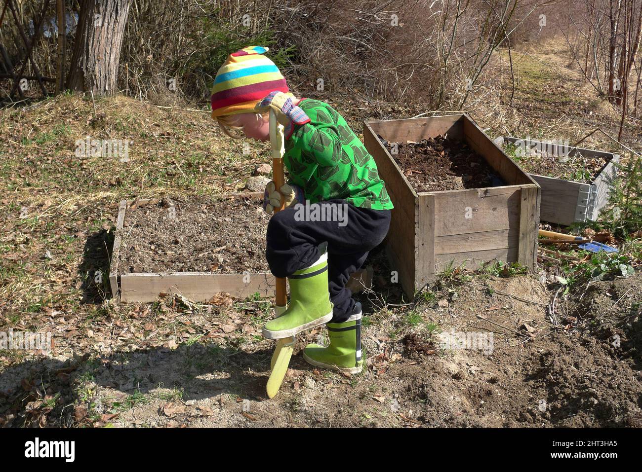 Boy digging to plant Stock Photo