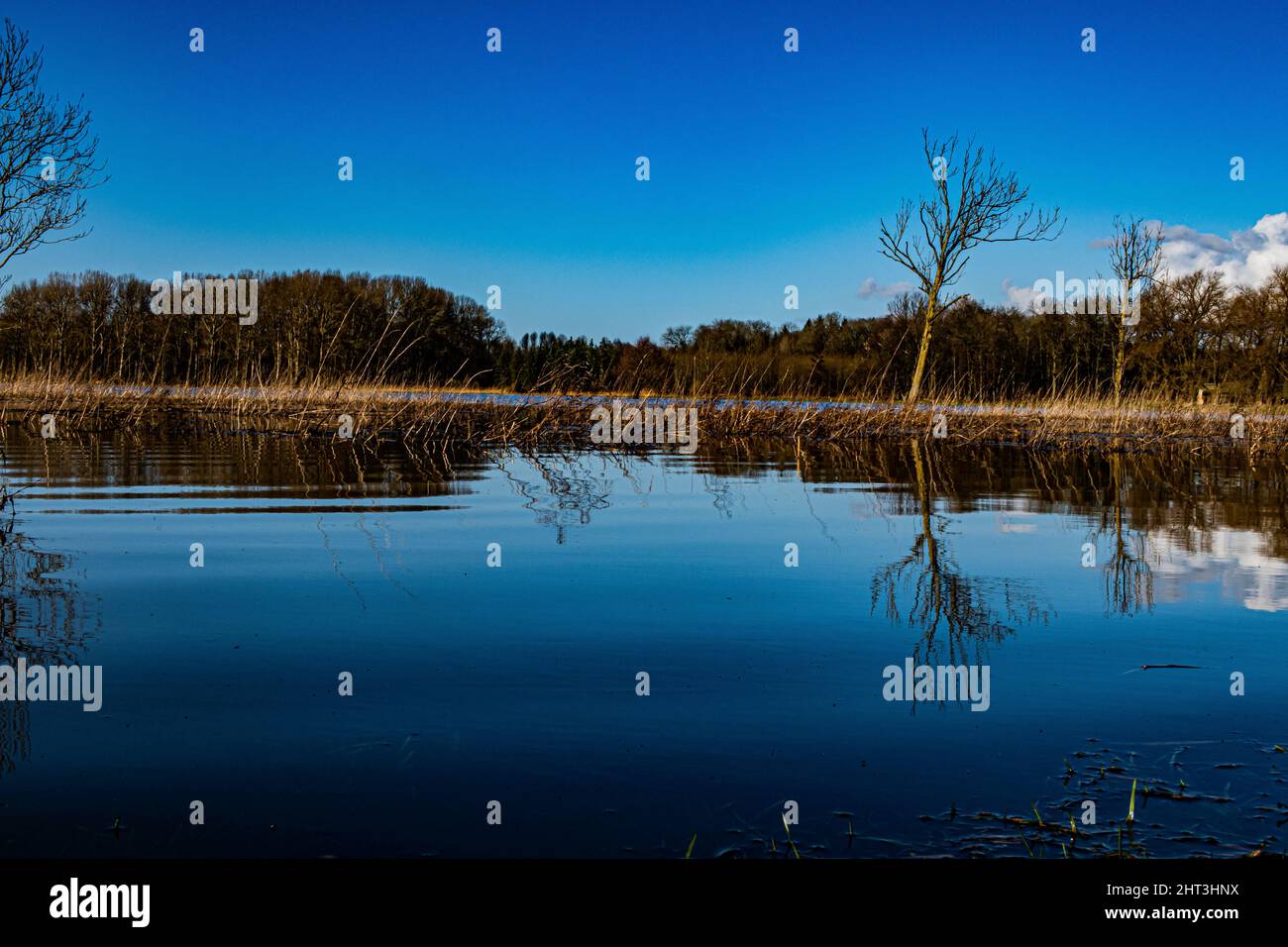 blue-sky-and-water-stock-photo-alamy