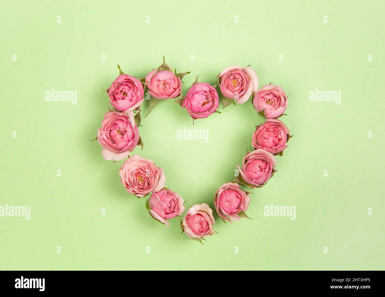 Pink roses heart hi-res stock photography and images - Alamy