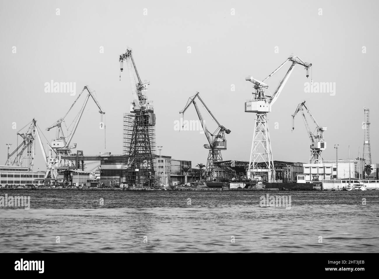 Greyscale shot of numerous crane machines working near the sea in the industrial spot Stock Photo