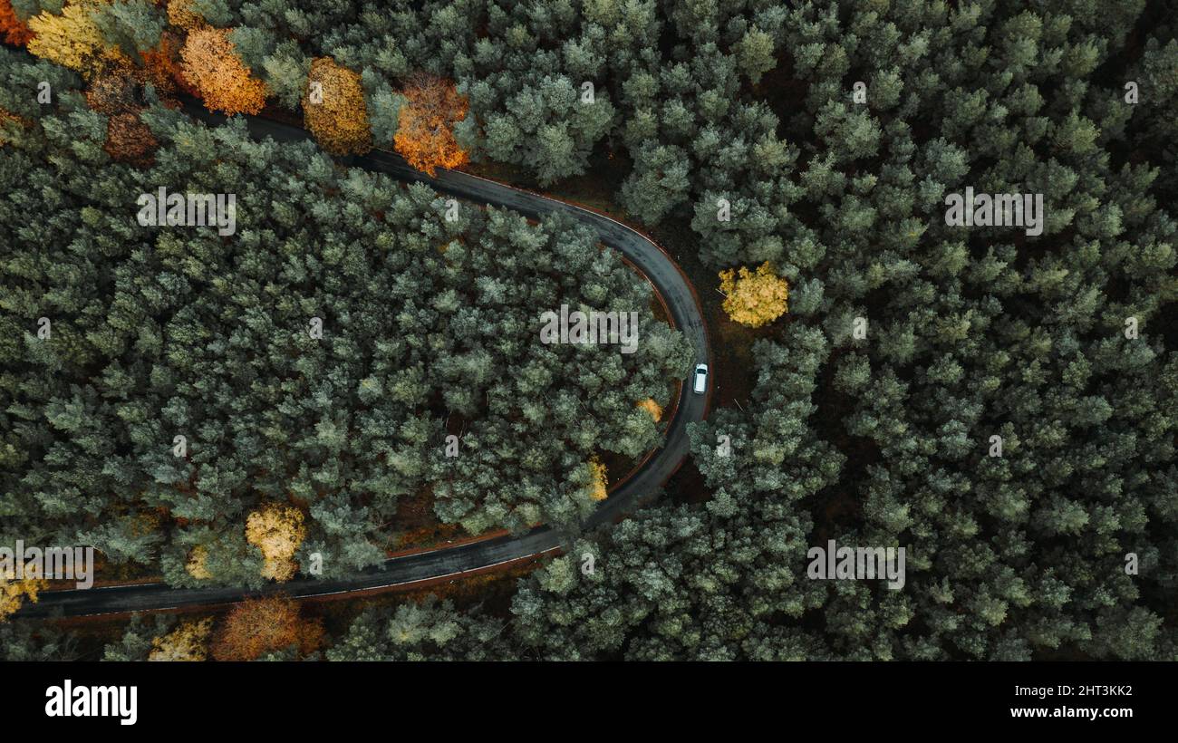 An aerial view of a car on a route through an autumnal forest Stock ...