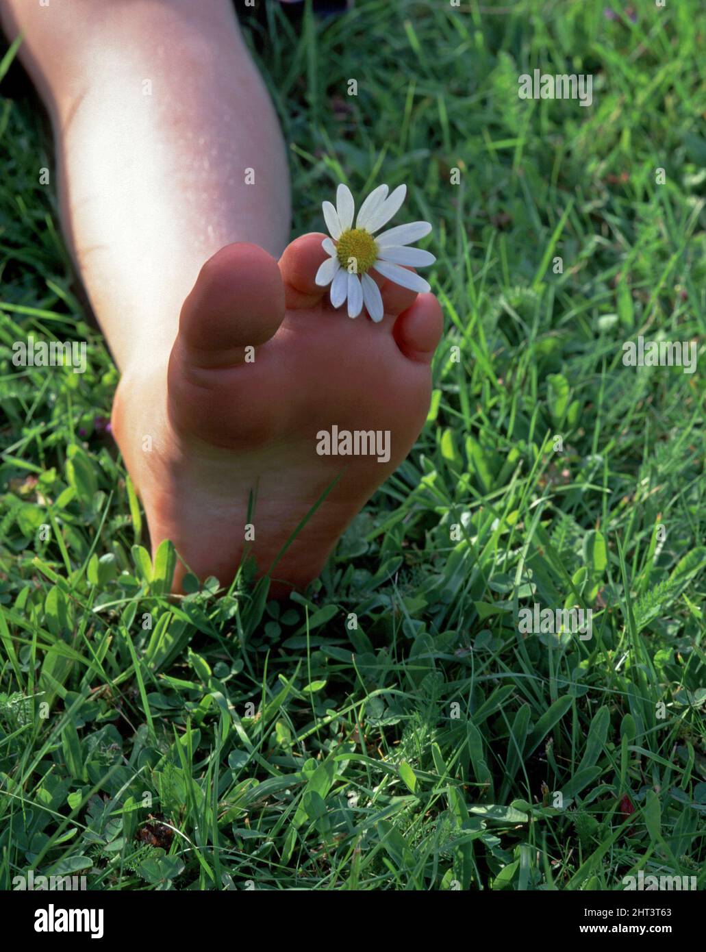 Flower between toes Stock Photo