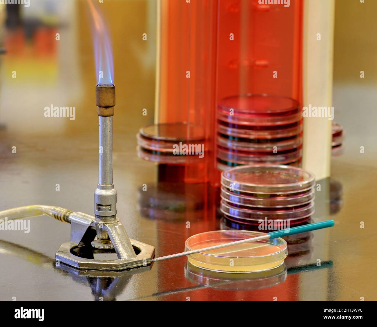 The equipment in a microbiology lab Stock Photo
