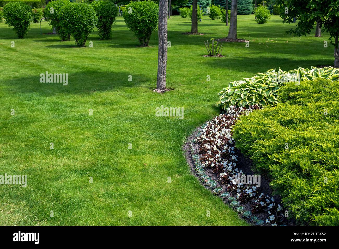 garden bed in park with various plants with flowers and deciduous and evergreen bush in flower bed near green lawn with trees landscape on sunny summe Stock Photo