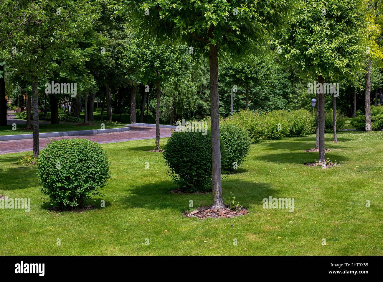 a picturesque park with deciduous bushes and trees mulched with tree bark in a sunny garden with plants lit by sunlight in the background a pedestrian Stock Photo